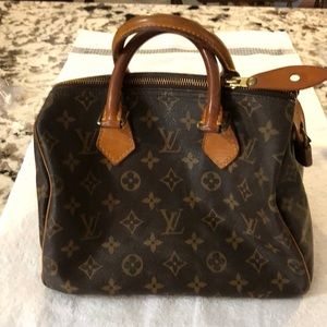 Louis Vuitton Purse